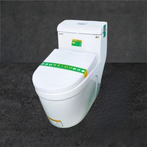 Bồn cầu 1 khối SEIDO T038