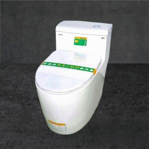 Bồn cầu 1 khối SEIDO T097