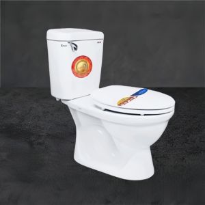 Bồn cầu 2 khối ZINAN  Z-BG01