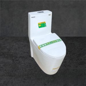 Bồn cầu 1 khối SEIDO T039