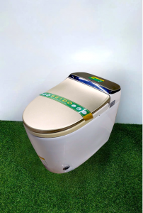 Bồn cầu thông minh SEIDO 3900