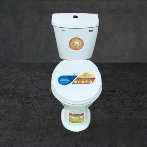 Bồn cầu 2 khối ZINAN Z-BR01